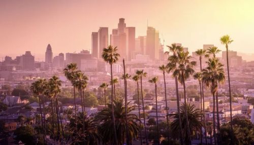 L'immagine mostra un panorama urbano di Los Angeles al tramonto, con i suoi caratteristici grattacieli sullo sfondo e alte palme in primo piano. La luce dorata del sole avvolge la città, creando un'atmosfera calda e suggestiva. Gli edifici moderni si stagliano contro il cielo sfumato nei toni dell’arancione e del viola, mentre le palme, icona della California, aggiungono un tocco esotico e distintivo al paesaggio.