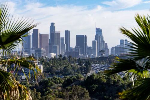 L'immagine mostra una vista panoramica dello skyline di Los Angeles con i suoi iconici grattacieli sullo sfondo. In primo piano, la scena è incorniciata da palme verdi, che danno un tocco tropicale al paesaggio urbano. La città si estende tra colline ricche di vegetazione e una vasta area metropolitana, con un grande parcheggio visibile tra gli alberi. Il cielo è limpido con alcune nuvole leggere, e la luce del giorno illumina gli edifici, mettendone in risalto le diverse altezze e forme architettoniche.